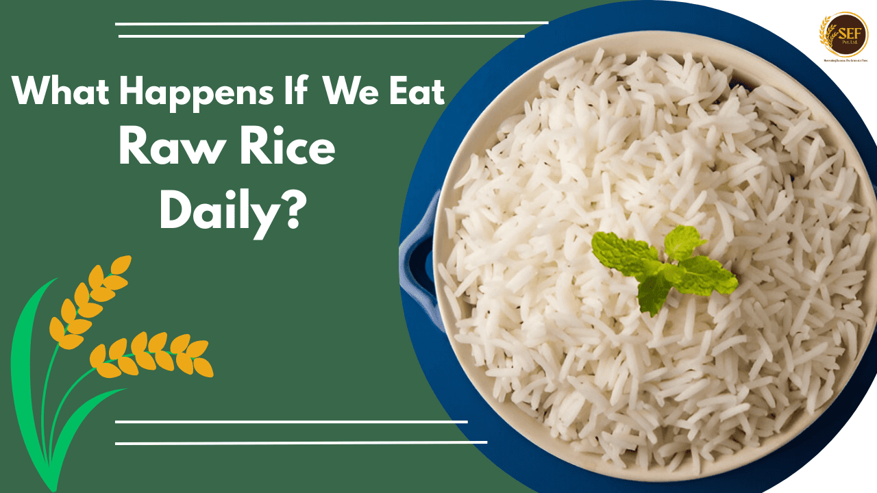 A bowl of raw rice grains with a focus on their texture and appearance.