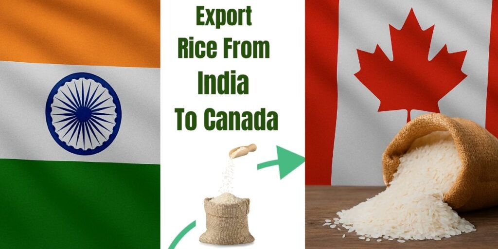 Indian and Canadian flags with rice export visual showing grain transfer from India to Canada.