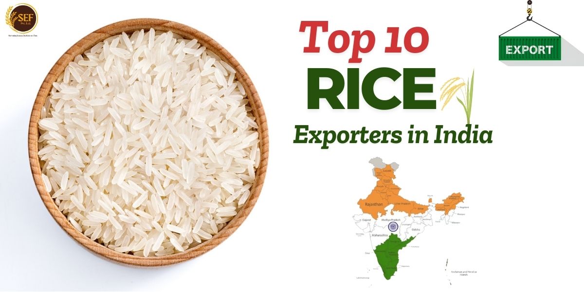 Infographic showing top 10 rice exporters in India 2025 with rice sacks, cargo trucks, ships, and global trade routes.