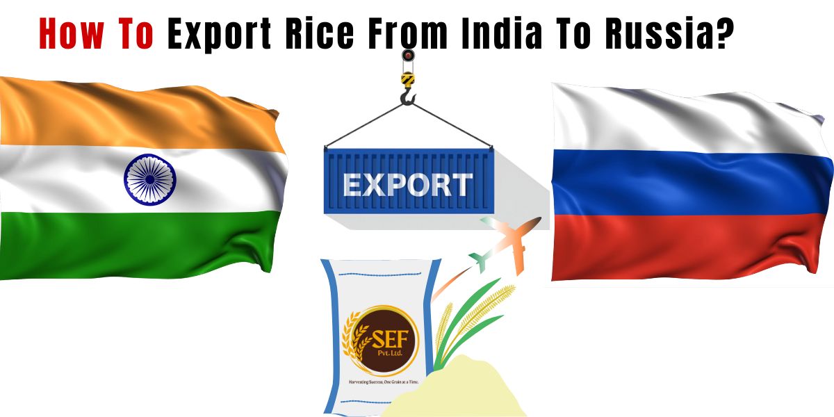 Indian and Russian flags with export container showing rice trade from India to Russia.