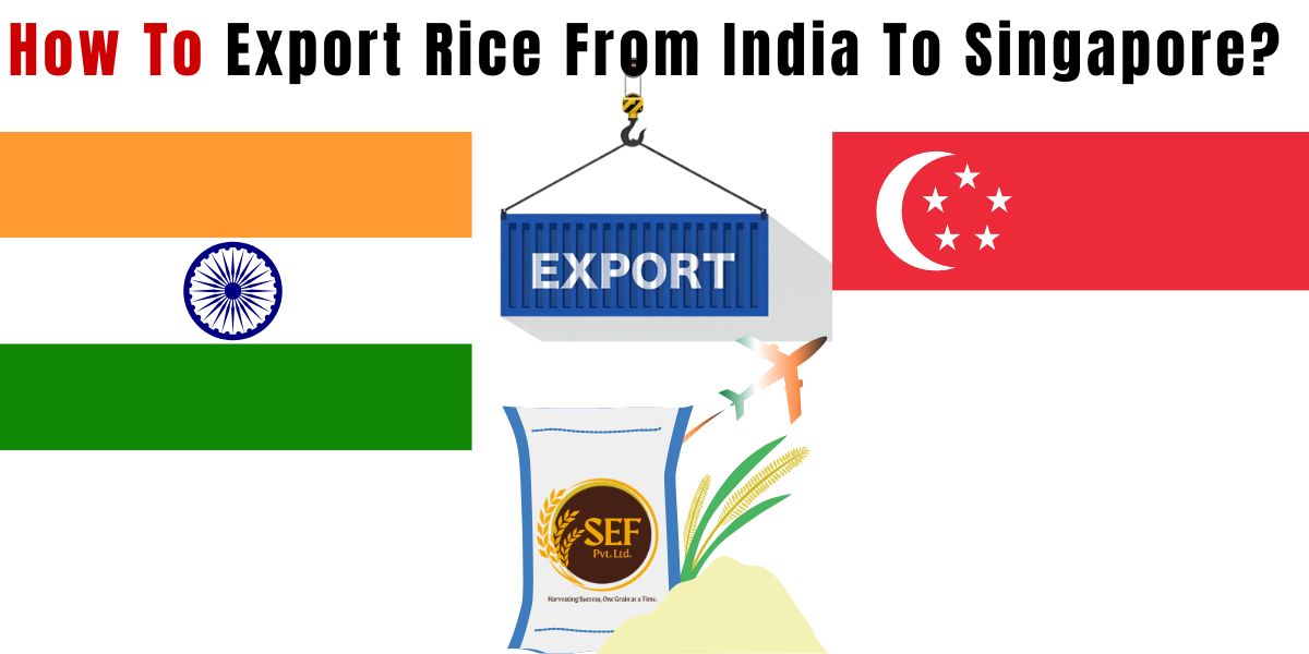 Export Rice from India to Singapore