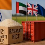 1121 Basmati Rice Grains Close-up Full Buyer & Export Guide