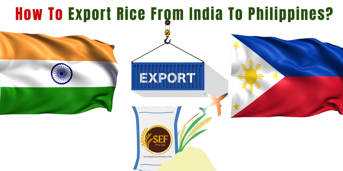 Step-by-step guide on how to export rice from India to the Philippines, covering documents, compliance, logistics, and quality standards.