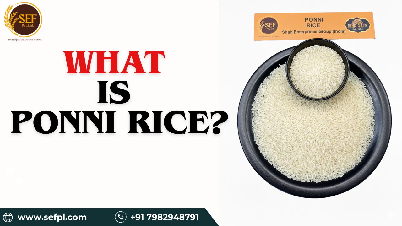 What is Ponni Rice – raw Ponni rice grains in bowl showing texture, nutrition, and daily cooking quality.