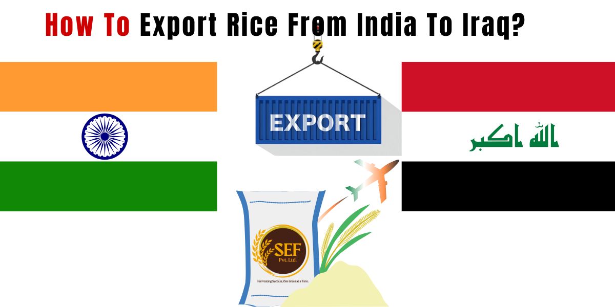 How to export rice from India to Iraq – documents, shipping and trade process.