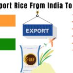 Export rice from India to Bahrain guide with basmati rice and global trade visuals